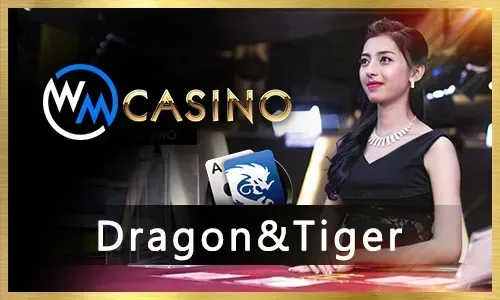 000Taya Casino Games